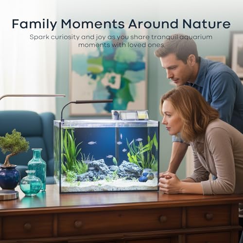 10 Gallon Aquarium Set Glass Fish Tank  with Heater Self Cleaning System Filter with Media Bright Light Cleaning Tool  Leak Proof Clear Rimless Betta Tropical Freshwater Fish