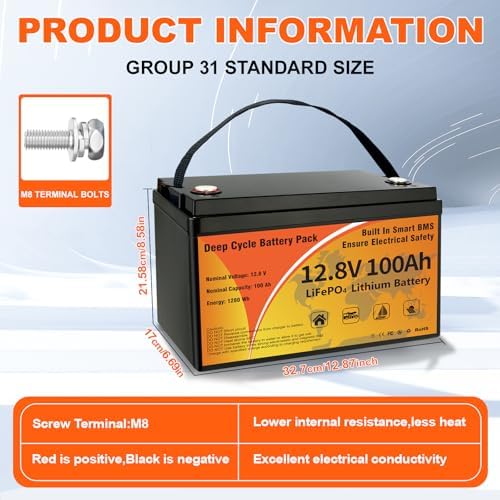 12V 100Ah LiFePO4 Lithium Battery  15000  Deep Cycles & 10 Year Lifespan Lithium Iron Phosphate Battery  Low Temp Protection & Built in BMS Rechargeable for Solar System  Home Energy  RV  Marine