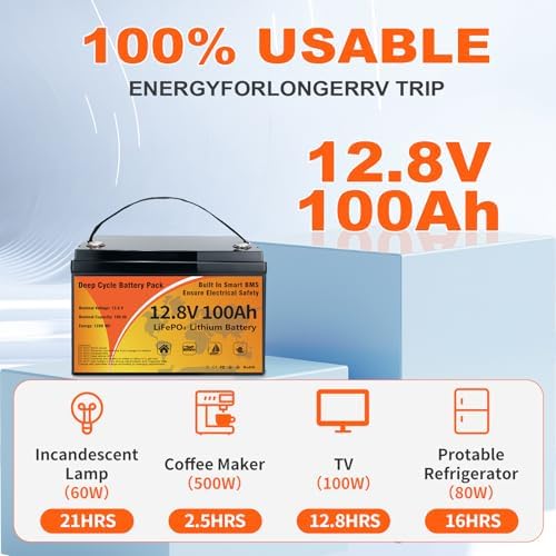 12V 100Ah LiFePO4 Lithium Battery  15000  Deep Cycles & 10 Year Lifespan Lithium Iron Phosphate Battery  Low Temp Protection & Built in BMS Rechargeable for Solar System  Home Energy  RV  Marine