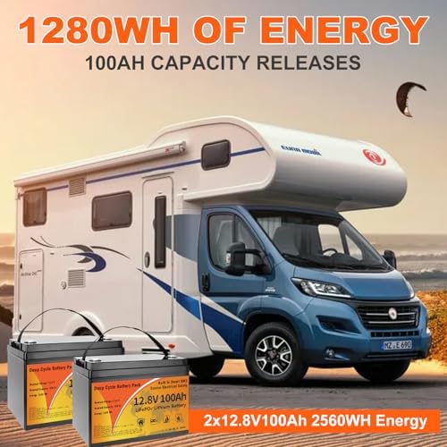 12V 100Ah LiFePO4 Lithium Battery  15000  Deep Cycles & 10 Year Lifespan Lithium Iron Phosphate Battery  Low Temp Protection & Built in BMS Rechargeable for Solar System  Home Energy  RV  Marine