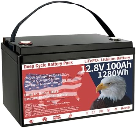 12V 100Ah LiFePO4 Lithium Battery  Group 31 Lithium Iron Phosphate 15000  Deep Cycles & 10 Year Lifespan with Built in BMS  1280Wh Low Temp Protection for Solar System  Home Energy  RV  Off Grid