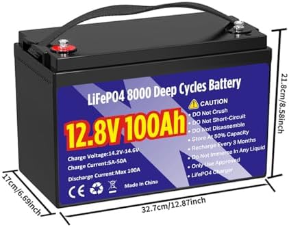 12V 100Ah LiFePO4 Lithium Battery  Group 31 Lithium Iron Phosphate 15000  Deep Cycles & 10 Year Lifespan with Built in BMS  1280Wh Low Temp Protection for Solar System  Home Energy  RV  Off Grid