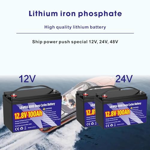 12V 100Ah LiFePO4 Lithium Battery  Group 31 Lithium Iron Phosphate 15000  Deep Cycles & 10 Year Lifespan with Built in BMS  1280Wh Low Temp Protection for Solar System  Home Energy  RV  Off Grid