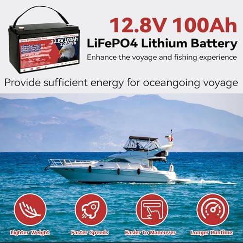 12V 100Ah LiFePO4 Lithium Battery  Group 31 Lithium Iron Phosphate 15000  Deep Cycles & 10 Year Lifespan with Built in BMS  1280Wh Low Temp Protection for Solar System  Home Energy  RV  Off Grid