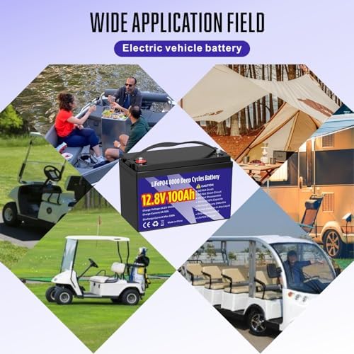 12V 100Ah LiFePO4 Lithium Battery  Group 31 Lithium Iron Phosphate 15000  Deep Cycles & 10 Year Lifespan with Built in BMS  1280Wh Low Temp Protection for Solar System  Home Energy  RV  Off Grid