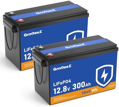 12V 300Ah LiFePO4 Lithium Battery  Built in 150A BMS  3840Wh Rechargeable Batteries  Up to 15000 Deep Cycles  Low Temp Protection Lithium Iron Phosphate Battery for RV  Camping  Marine  Off grid
