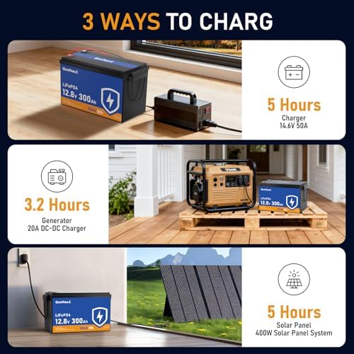 12V 300Ah LiFePO4 Lithium Battery  Built in 150A BMS  3840Wh Rechargeable Batteries  Up to 15000 Deep Cycles  Low Temp Protection Lithium Iron Phosphate Battery for RV  Camping  Marine  Off grid