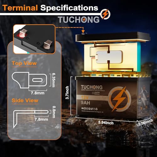 Batería LiFePO4 de litio de 12 V y 9 Ah, batería recargable, hasta 5000+ batería de fosfato de hierro y litio de ciclo profundo BMS integrado de 15 AH, ideal para UPS pequeños, iluminación, energía