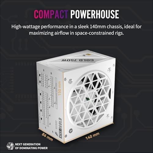 1STPLAYER NDGP 750W 80 Plus Gold Certified Full Modular Power Supply ATX 3 1 & PCIe 5 1  Japanese Electrolytic 105 C Capacitors 0 RPM Mode with 120mm FDB Fan  10 Year Warranty  White