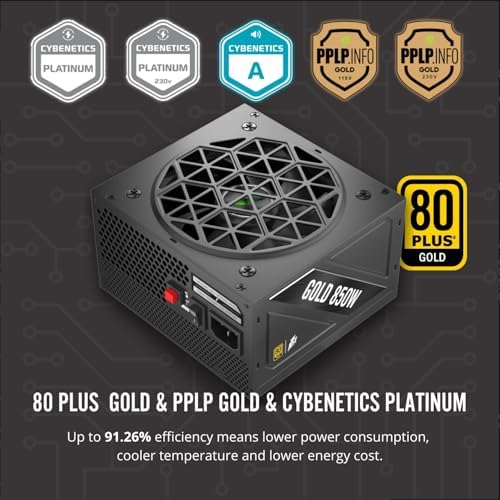 1STPLAYER NGDP 850W Fully Modular PSU  80 Plus Gold/Cybenetics Platinum/PPLP Gold  ATX 3 1 / PCI E 5 1  Low Noise FDB Fan  Zero RPM  Japanese Electrolyte Capacitor