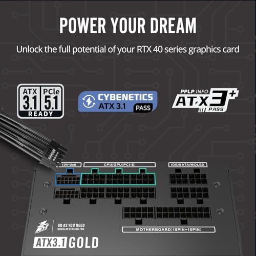 1STPLAYER NGDP 850W Fully Modular PSU  80 Plus Gold/Cybenetics Platinum/PPLP Gold  ATX 3 1 / PCI E 5 1  Low Noise FDB Fan  Zero RPM  Japanese Electrolyte Capacitor