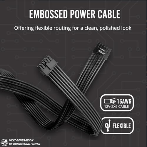 1STPLAYER NGDP 850W Fully Modular PSU  80 Plus Gold/Cybenetics Platinum/PPLP Gold  ATX 3 1 / PCI E 5 1  Low Noise FDB Fan  Zero RPM  Japanese Electrolyte Capacitor