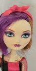 2013 Ever After High First Chapter Royal Rebel HOLLY & POPPY O HAIR dolls  READ