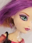 2013 Ever After High First Chapter Royal Rebel HOLLY & POPPY O HAIR dolls  READ