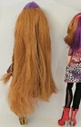 2013 Ever After High First Chapter Royal Rebel HOLLY & POPPY O HAIR dolls  READ