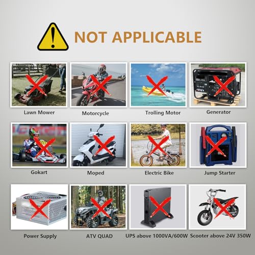 Paquete de 2 baterías de ciclo profundo LiFePO4 de iones de litio de 12 V 10 Ah, batería recargable de más de 2000 ciclos para energía solar/eólica, scooters, iluminación, ruedas eléctricas