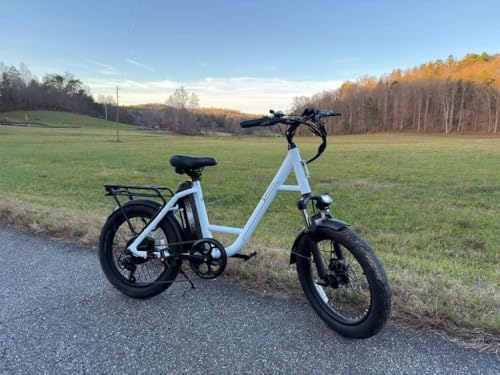 2 Seater Electric Bike for Adults 1200W Peak Motor 28 MPH  720WH Removable Battery 65Miles Step Thru Folding Ebikes 20 Fat Tire E Bikes for Adults with NFC Commuting E Bike for Women/Men