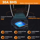 36V 48V Hailong Battery for 200W 1800W Ebike Electric Bike Lithium Battery BMS