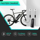 36V 48V Hailong Battery for 200W 1800W Ebike Electric Bike Lithium Battery BMS