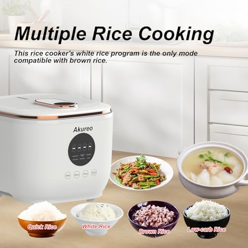 3L Healthy Low Carb Rice Cooker  Low Sugar Digital Steamer Porridge Soup Quick Rice White Rice Stainless Steel Filter Basket 5 Cooking Functions 24H Timer & Auto Keep Warm