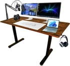 44  /55" Adjustable Electric Desk Computer Home Office Table Power Outlet