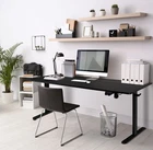 44  /55" Adjustable Electric Desk Computer Home Office Table Power Outlet