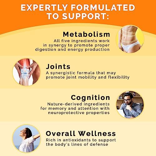 4 in 1 Liquid Biotin Collagen Keratin Saw Palmetto Drops  2 fl oz   1 Pack  & 5 in 1 Ceylon Cinnamon w Turmeric & Ginseng Root  120ct  Bundle   Hair  Skin  Nails  & Immune Support Supplement