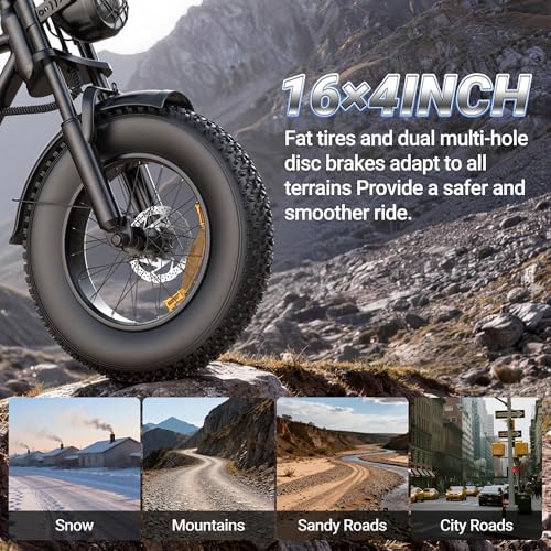 500W/750W Fat Tire Electric Dirt Bike for Adults  48V 13 5AH/18AH Removable Battery 16/20 Electric Motorcycle Ebikes with 31MPH Top Speed  40 70 Miles Range  Full Suspension