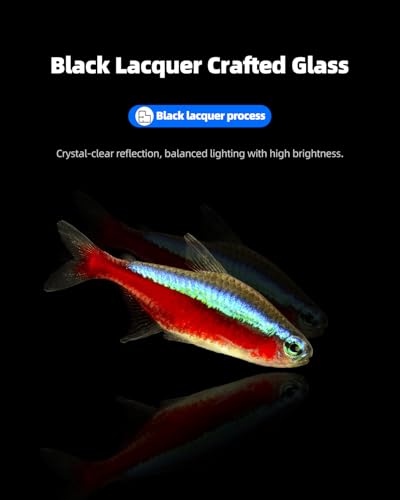 5 Gallon Clear Glass Fish Tank  Easy to Maintain Small Aquariumfor Betta  Goldfish  Snail Shrimp and Aquatic Planting
