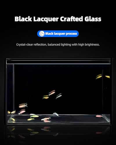 5 Gallon Clear Glass Fish Tank  Easy to Maintain Small Aquariumfor Betta  Goldfish  Snail Shrimp and Aquatic Planting