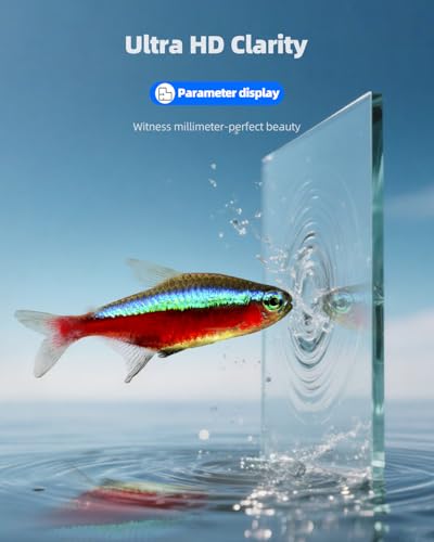 5 Gallon Clear Glass Fish Tank  Easy to Maintain Small Aquariumfor Betta  Goldfish  Snail Shrimp and Aquatic Planting