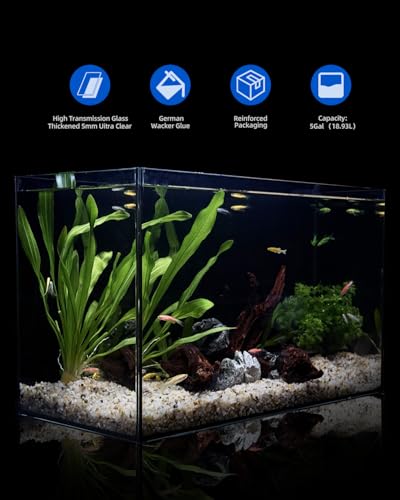 5 Gallon Clear Glass Fish Tank  Easy to Maintain Small Aquariumfor Betta  Goldfish  Snail Shrimp and Aquatic Planting