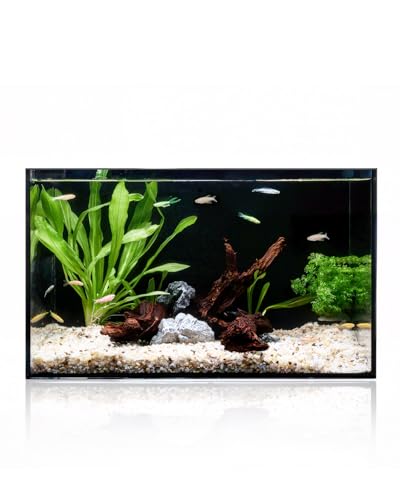 5 Gallon Clear Glass Fish Tank  Easy to Maintain Small Aquariumfor Betta  Goldfish  Snail Shrimp and Aquatic Planting