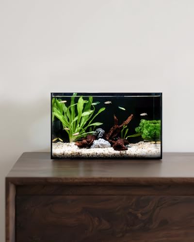 5 Gallon Clear Glass Fish Tank  Easy to Maintain Small Aquariumfor Betta  Goldfish  Snail Shrimp and Aquatic Planting