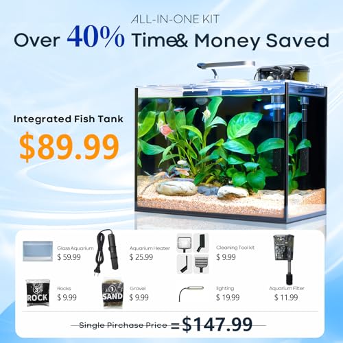 5 Gallon Small Aquarium Set Glass Fish Tank 6 Gallon  Starter Kit with Heater Self Cleaning System Filter Bright Light Rocks Gravel Cleaning Tool  Leak Proof Clear Rimless Betta Plants