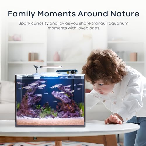 5 Gallon Small Aquarium Set Glass Fish Tank 6 Gallon  Starter Kit with Heater Self Cleaning System Filter Bright Light Rocks Gravel Cleaning Tool  Leak Proof Clear Rimless Betta Plants