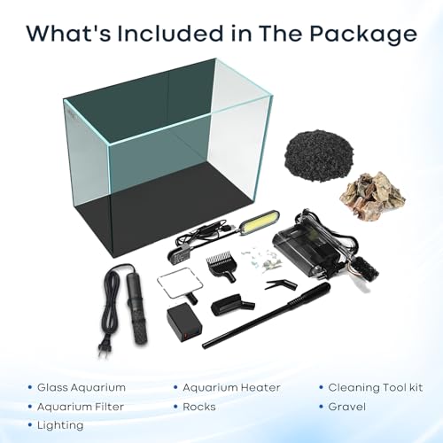 5 Gallon Small Aquarium Set Glass Fish Tank 6 Gallon  Starter Kit with Heater Self Cleaning System Filter Bright Light Rocks Gravel Cleaning Tool  Leak Proof Clear Rimless Betta Plants