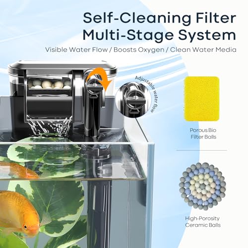 5 Gallon Small Aquarium Set Glass Fish Tank 6 Gallon  Starter Kit with Heater Self Cleaning System Filter Bright Light Rocks Gravel Cleaning Tool  Leak Proof Clear Rimless Betta Plants