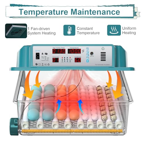 64 Egg Incubators for Hatching Eggs Incubator with Automatic Egg Turning and Humidity Chicken Incubator with 5 Automatic Incubate Mode Poultry Egg Incubator with Incubate Day Counter and Egg Candler