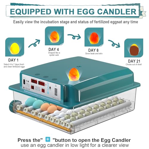 64 Egg Incubators for Hatching Eggs Incubator with Automatic Egg Turning and Humidity Chicken Incubator with 5 Automatic Incubate Mode Poultry Egg Incubator with Incubate Day Counter and Egg Candler