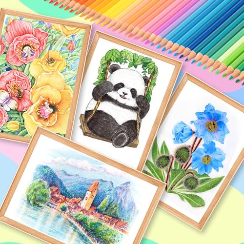 72 Count Colored Pencils for Adult Coloring Books  Soft Core Drawing Sketching Blending Shading Pencils  Color Pencils Set Gift for Beginners Artists