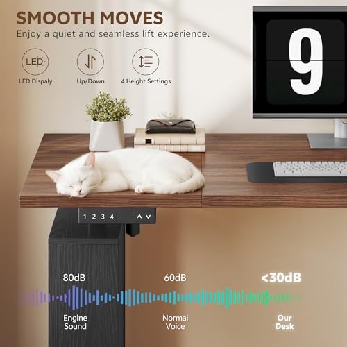 75 5 Inches Electric Standing Desk with Drawers Farmhouse Sit Stand Desk with Storage Adjustable Height Computer Desk with Power Outlets Printer Space for Home Office Black and Walnut