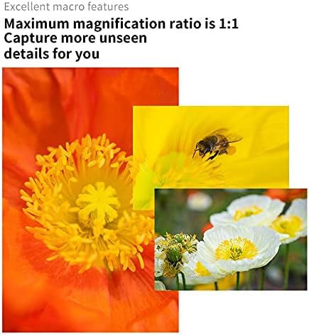 7artisans 60mm F2 8 Mark II Macro Manual Focus Camera Lens APS C Mirrorless Camera Lens for Sony E Mount Cameras Like A7 A7II A7RII A7S A7SII A6300 A6000 A5100 EX 3 NEX 3N NEX 3R NEX F3K NEX 5 NEX 5N