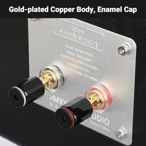 AIYIMA P600 6 5 Bookshelf Speakers for Desktop  6  Tilted Design & Carbon Fiber Woofer & Horn Silk Tweeter  30Hz 20kHz 2 Way Passive Speaker for Home Audio Stereo Speakers  Pair