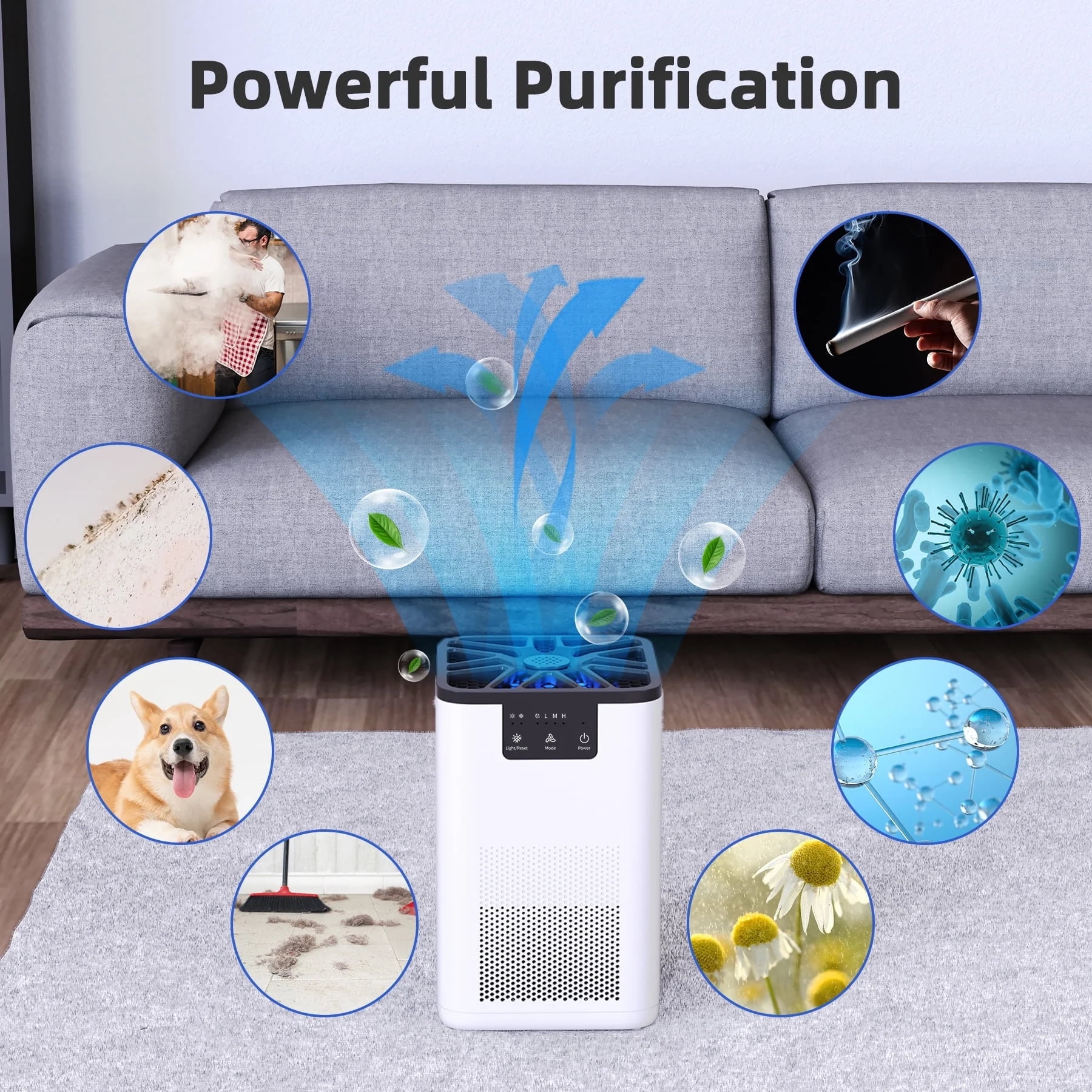 ALROCKET Air Purifier  with HEPA Filter for Home  Remove 99 9  Smoke Dust Allergies for 300 SQ ft