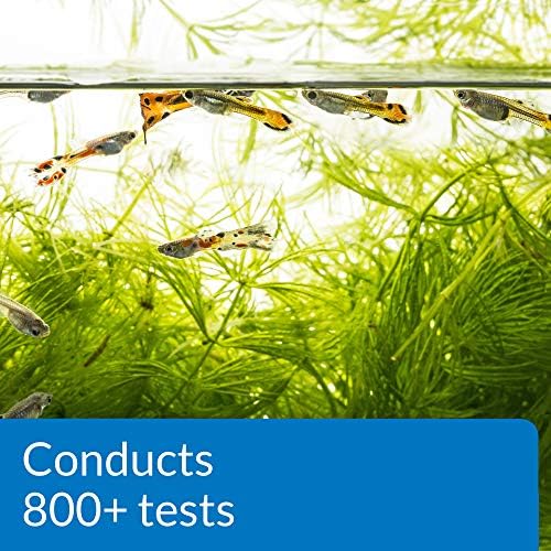API FRESHWATER MASTER TEST KIT 800 Test Freshwater Aquarium Water Master Test Kit  White  Single  Multi colored