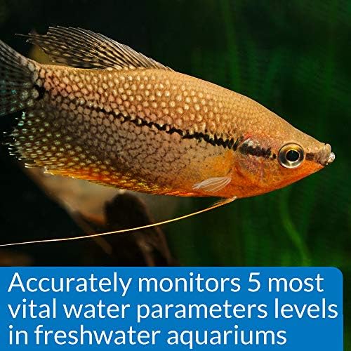 API FRESHWATER MASTER TEST KIT 800 Test Freshwater Aquarium Water Master Test Kit  White  Single  Multi colored