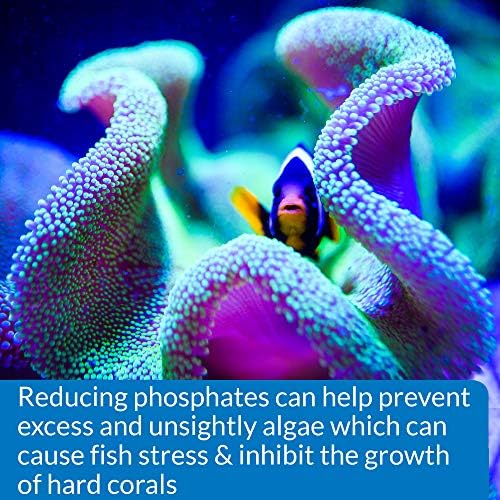 API Phosphate Test Kit For Freshwater And Saltwater  64 OUNCES