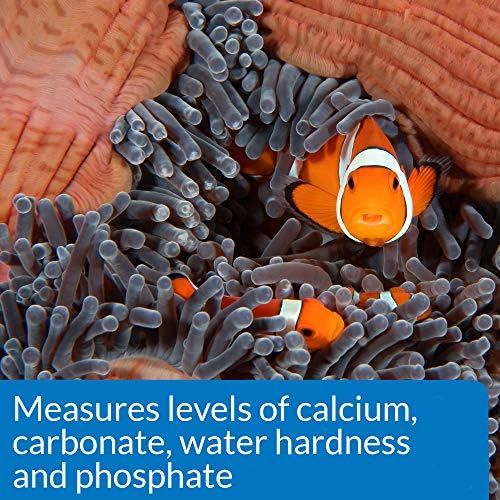 API SALTWATER MASTER TEST KIT 550 Test Saltwater Aquarium Water Test Kit