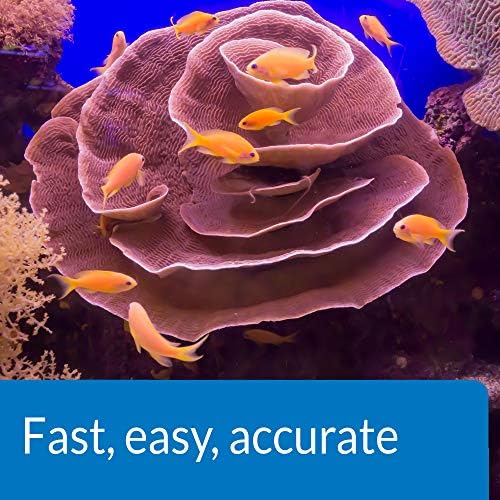 API SALTWATER MASTER TEST KIT 550 Test Saltwater Aquarium Water Test Kit